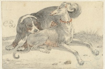 Un galgo y un perro perdiguero de Cornelis Saftleven