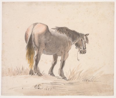 Caballo de pie sobre un montículo de Cornelis Saftleven