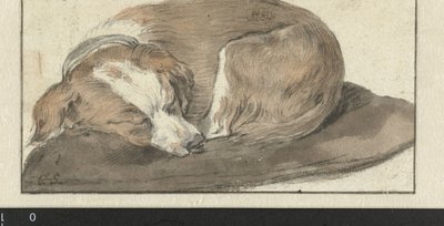 Perro dormido de Cornelis Saftleven
