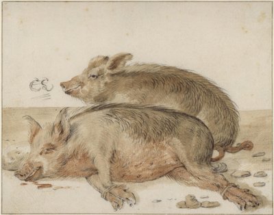 Dos cerdos de Cornelis Saftleven