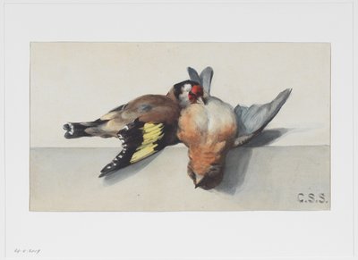 Bodegón con dos pájaros muertos de Cornelis Samuel Stortenbeker