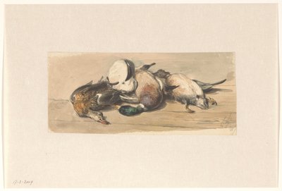 Bodegón con cuatro patos de Cornelis Springer