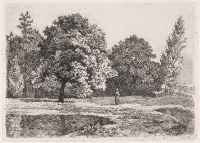 Paisaje con árboles, lago y mujer. Quinta suite (título de la serie) de Cornelis Steffelaar