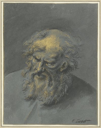 Cabeza de un anciano con barba (un apóstol o filósofo) de Cornelis Troost