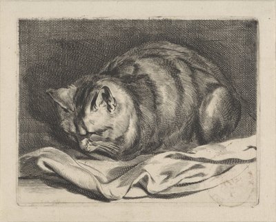gatito de Cornelis Visscher (II)
