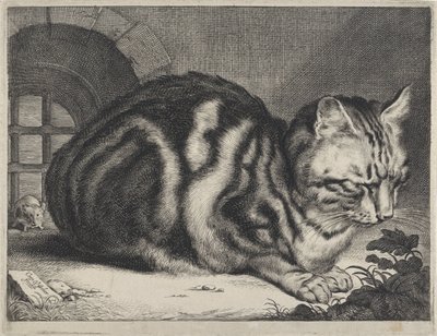 el gato grande de Cornelis Visscher (II)