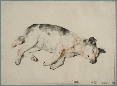  de Cornelis Visscher
