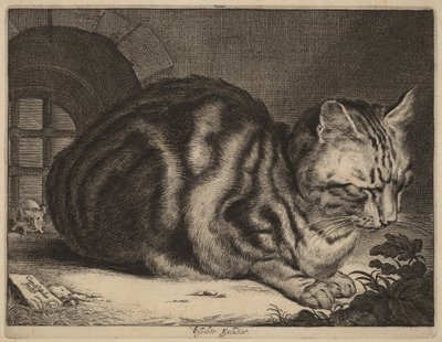 El gran gato de Cornelis Visscher