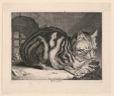El gran gato de Cornelis Visscher