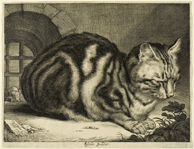El Gran Gato de Cornelis Visscher