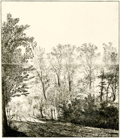 Sendero a través de un bosque de Hendrick Cornelisz. Vroom