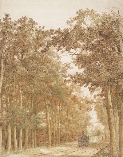Sendero a través de un bosque, c.1638-42 de Hendrick Cornelisz. Vroom