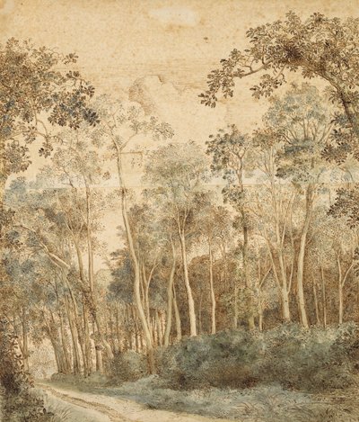 Paisaje boscoso de Hendrick Cornelisz. Vroom