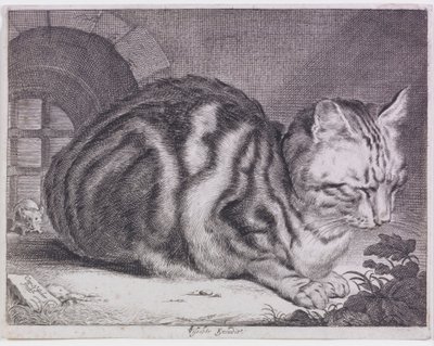 el gato grande de Cornelis de Visscher