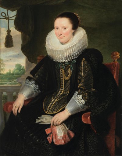  de Cornelis de Vos