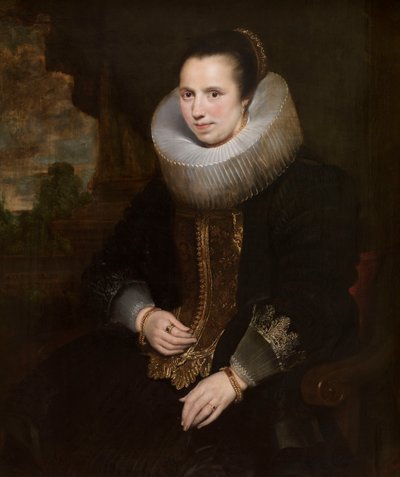  de Cornelis de Vos