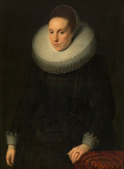  de Cornelis de Vos