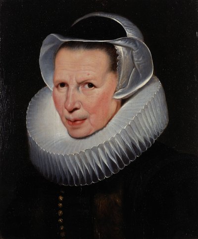  de Cornelis de Vos