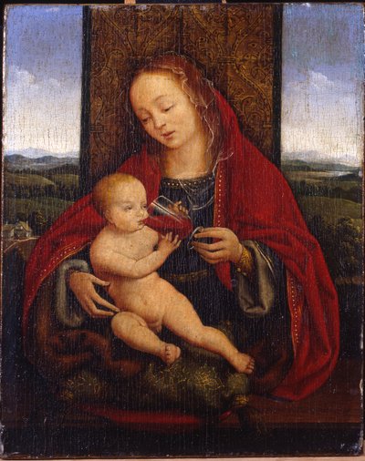 La Madonna y el Niño entronizados de Cornelis van Cleve