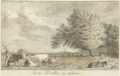 vacas en un prado fuera de Haarlem, en Schooten (título sobre el objeto) de Cornelis van Noorde