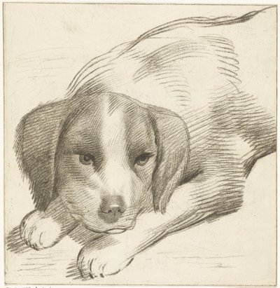 perro mentiroso de Cornelis van Noorde