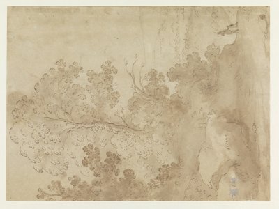 Paisaje de colinas con árboles de Cornelis van Poelenburch