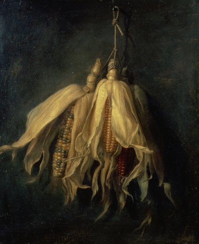 Tres mazorcas de maíz colgando de un clavo (óleo sobre lienzo) de Cornelis van Spaendonck