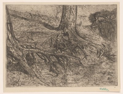 Raíces de los árboles de Cornelis van Steenwijk