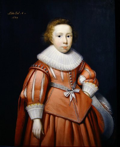 Retrato de un Niño de Cornelius Janssen van Ceulen