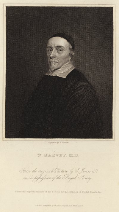 William Harvey de Cornelius Janssen van Ceulen