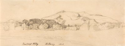 Abadía de Muckross, Killarney de Cornelius Varley