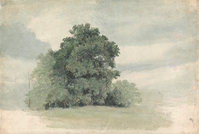 Estudio de árboles en la linde de un campo de Cornelius Varley
