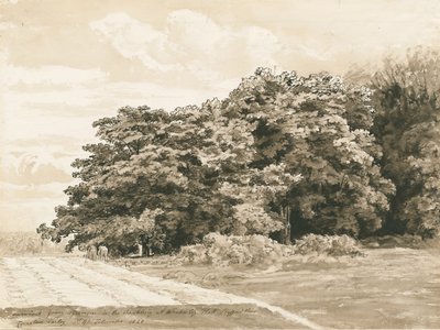 Wrottesley Hall - El Arbusto: dibujo en sepia, 1820 de Cornelius Varley