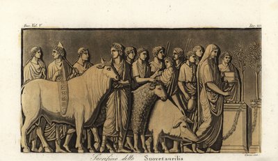 Ceremonia romana de sacrificio suovetaurilia o suovitaurilia de Corsi Corsi