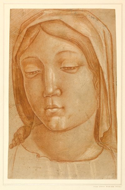 Cabeza de la Virgen, con los dedos de una mano infantil en su hombro derecho de Cosimo (after) Tura