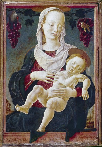 Virgen con el Niño, conocida como Nuestra Señora del Zodíaco. c.1459-63 (temple sobre tabla) de Cosimo Tura