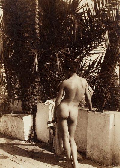 Desnudo masculino, 1890 de Count Wilhelm von Gloeden