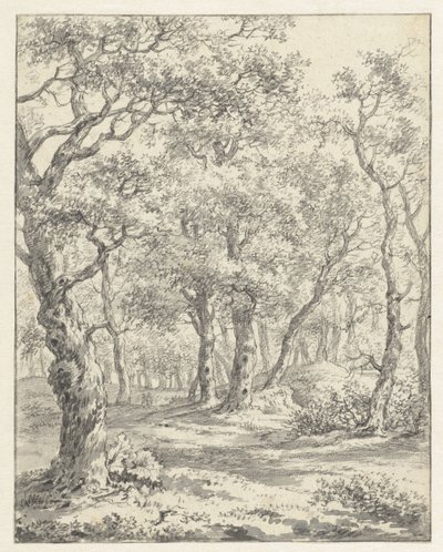paisaje forestal de Couwenhoven