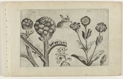 Artisjok en prikneus Conozca los lirios (título de la serie) de Crispijn van de Passe (I) (attributed to)