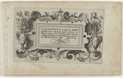 Página de título y once impresiones de flores, plantas y frutas Cartucho con marco de volutas para la serie: Cognoscite lilia Cognoscite lilia (título de la serie sobre el objeto) de Crispijn van de Passe (I) (attributed to)