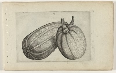 dos melones Conozca los lirios (título de la serie) de Crispijn van de Passe (I) (attributed to)