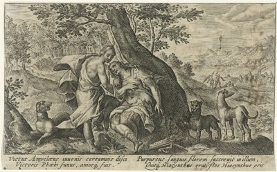 Apolo en Jacinto Metamorfosen van Ovidius (título de la serie) de Crispijn van de Passe (I)
