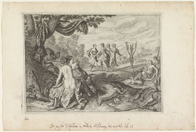 Apulus se convierte en un olivo Metamorfosis de Ovidio (título de la serie) de Crispijn van de Passe (II) (workshop of)