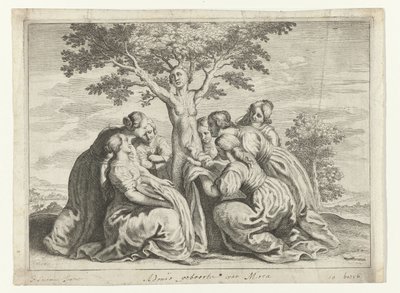 Nacimiento de Adonis
Metamorfosis de Ovidio (título de la serie) de Crispijn van de Passe (II) (workshop of)