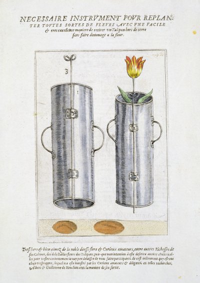 Dispositivo para replantar flores, de 