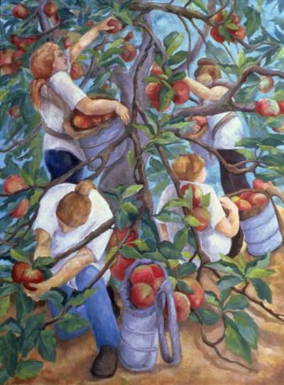 Recolectores de Manzanas de Cristiana Angelini