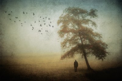 El hombre solitario: Niebla de otoño de Cristiano Giani