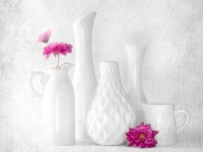 Flores rosas y jarrones blancos de Cristiano Giani