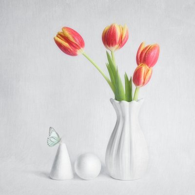 Mariposa de tulipanes de primavera de Cristiano Giani