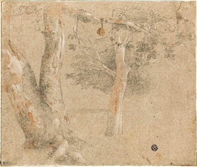 Bocetos de árboles de Cristofano Allori